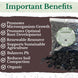 Horticultural Charcoal BioChar 2.2lb