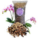 Orchid Potting Mix 7L