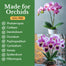 Orchid Potting Mix 7L