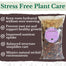 Orchid Potting Mix 7L