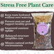Orchid Potting Mix 7L