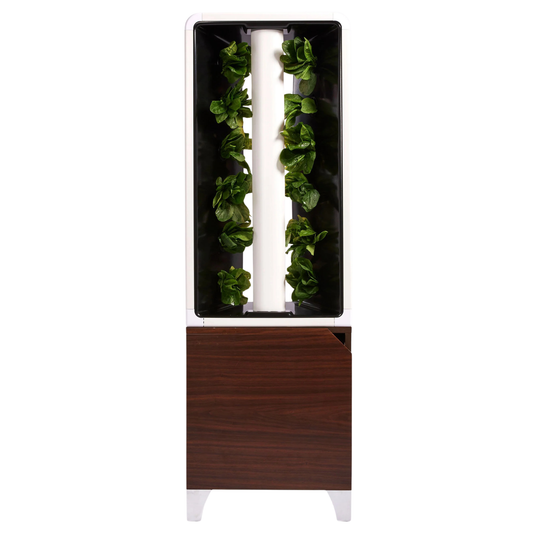 The EVE Tower Garden