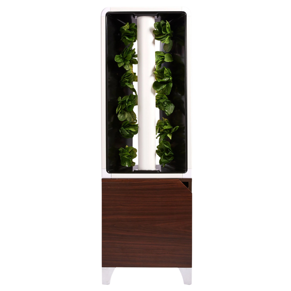 The EVE Tower Garden