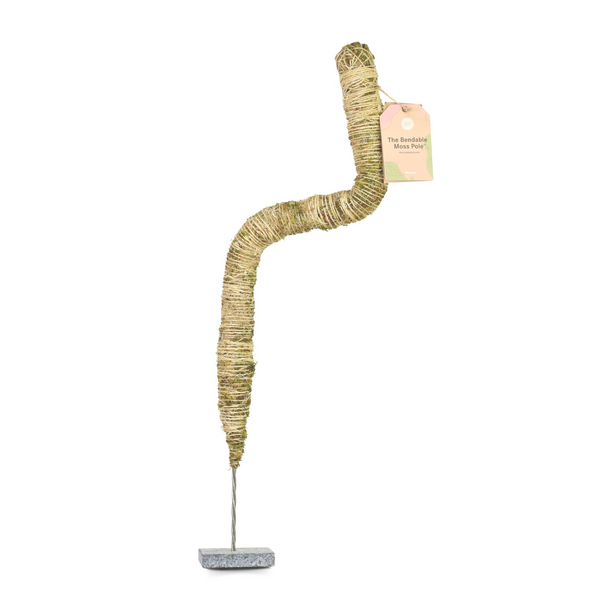 Mossify Original Bendable Moss Pole™ 30" — Flexible Support for Climbing Indoor Plants