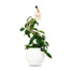 Mossify Original Bendable Coir Pole — Flexible Support for Climbing & Vining Houseplants