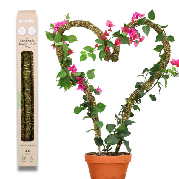 Mossify Bendable Moss Pole THIN 3-Pack — Flexible Climbing Plant Support