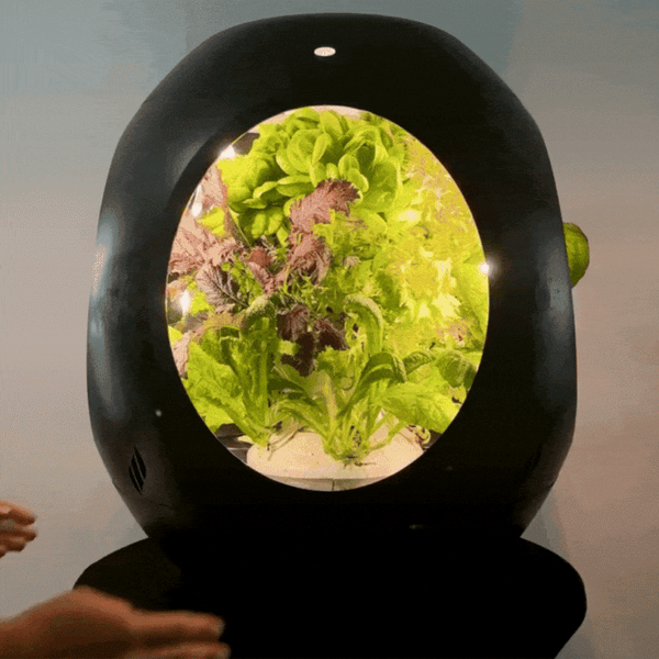 Plantaform Smart Indoor Garden V2