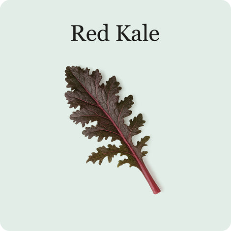Kale Mix