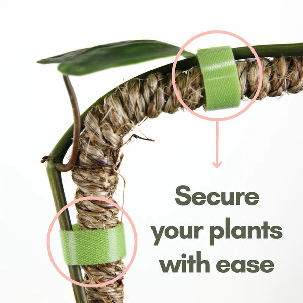 Mossify Reusable Plant Tape 20 ft / 6 m Roll