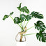 Mossify Original Bendable Moss Pole™ 30" — Flexible Support for Climbing Indoor Plants