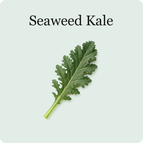 Kale Mix